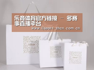 项目名称十一